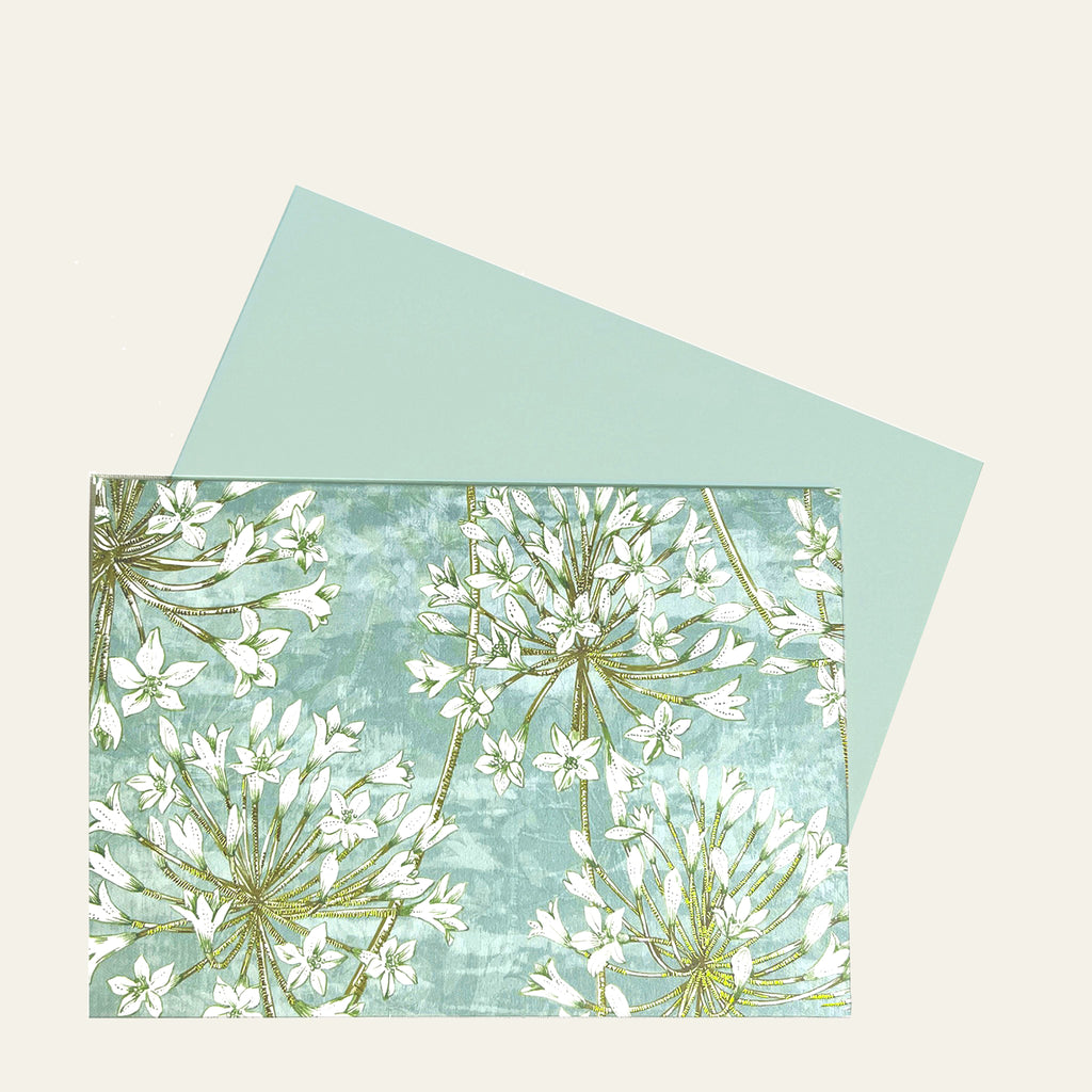 Allium blossoms (14) note cards by Peter Pauper Press, New York.
