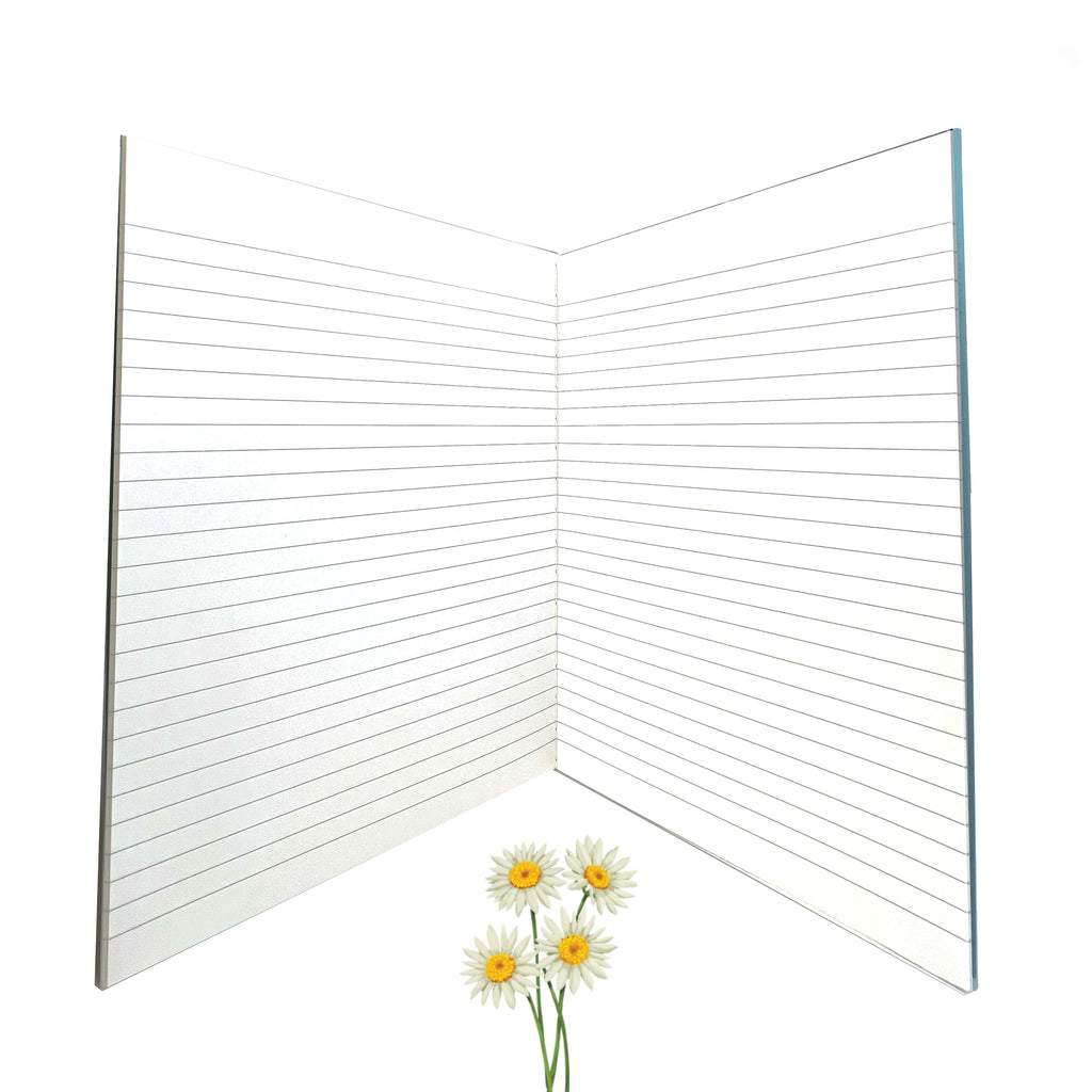 Legendary Japanese notebook with super smooth paper by Apica Japan.