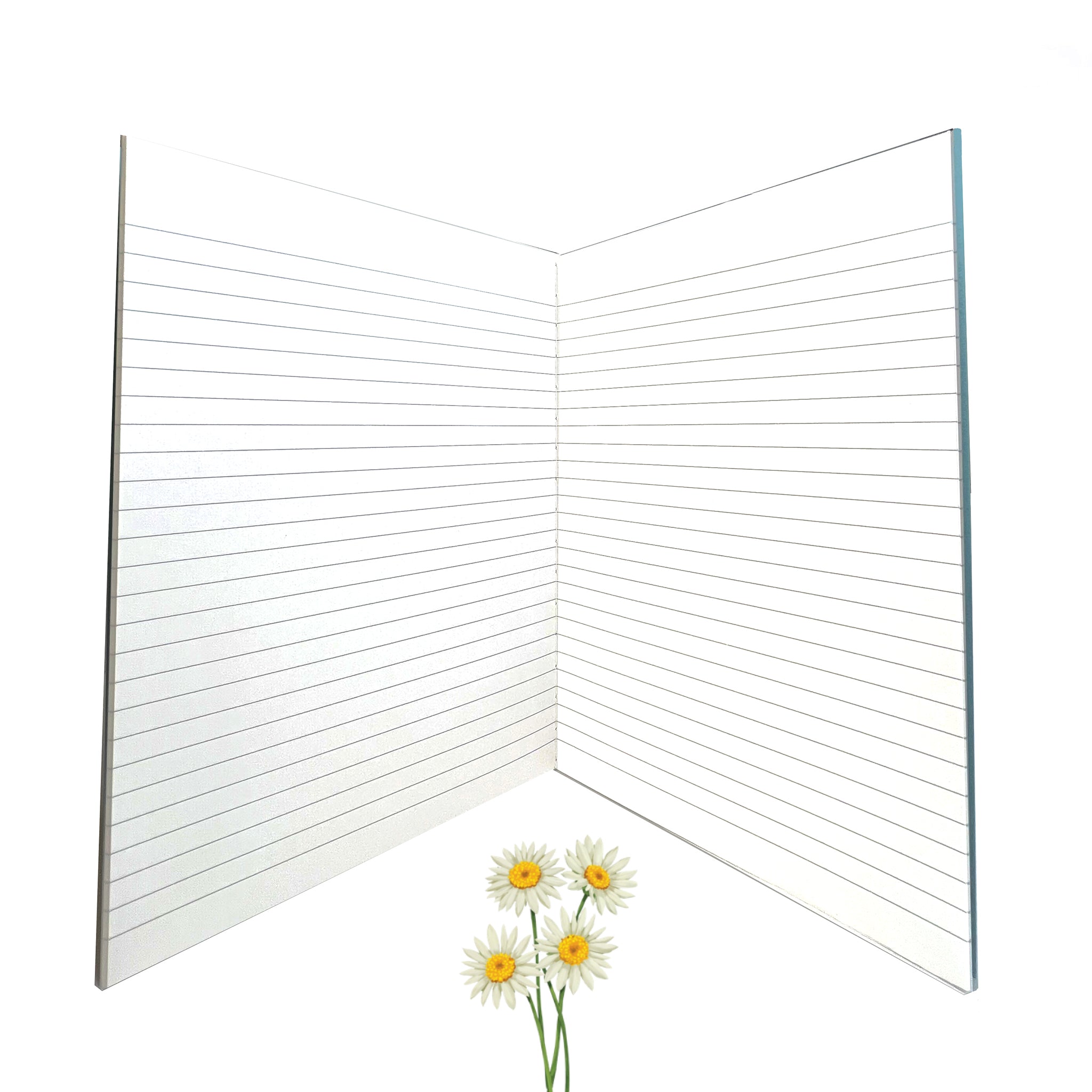 Legendary Japanese notebook with super smooth paper by Apica Japan.