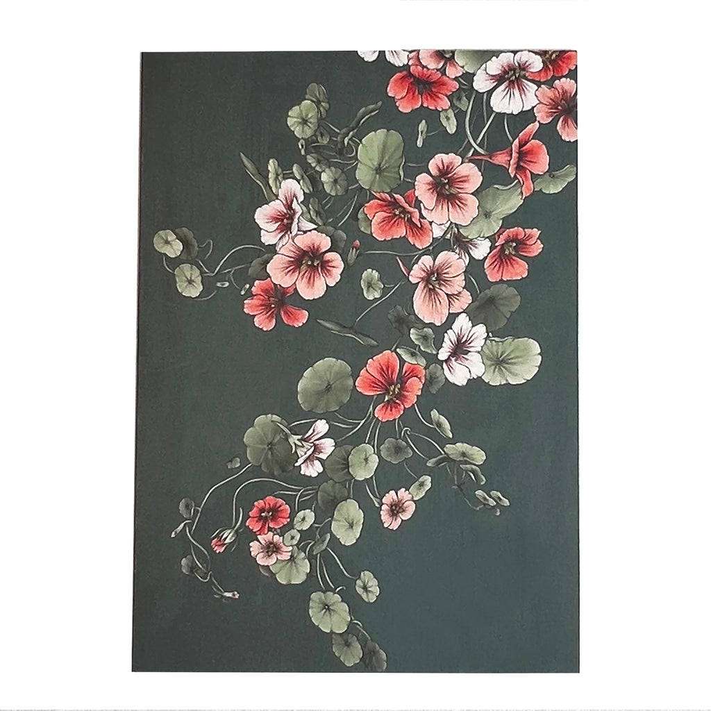 Hand-drawn nasturtium note card by Typoflora.