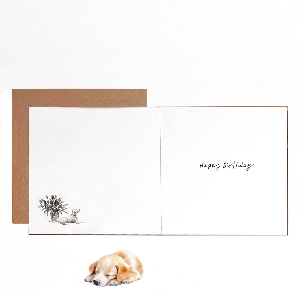 Popular birthday card by The Great British Card Company.