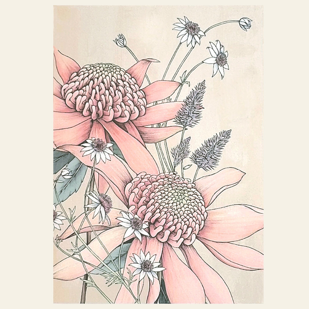 Australian pink waratah on a note card by Typoflora.