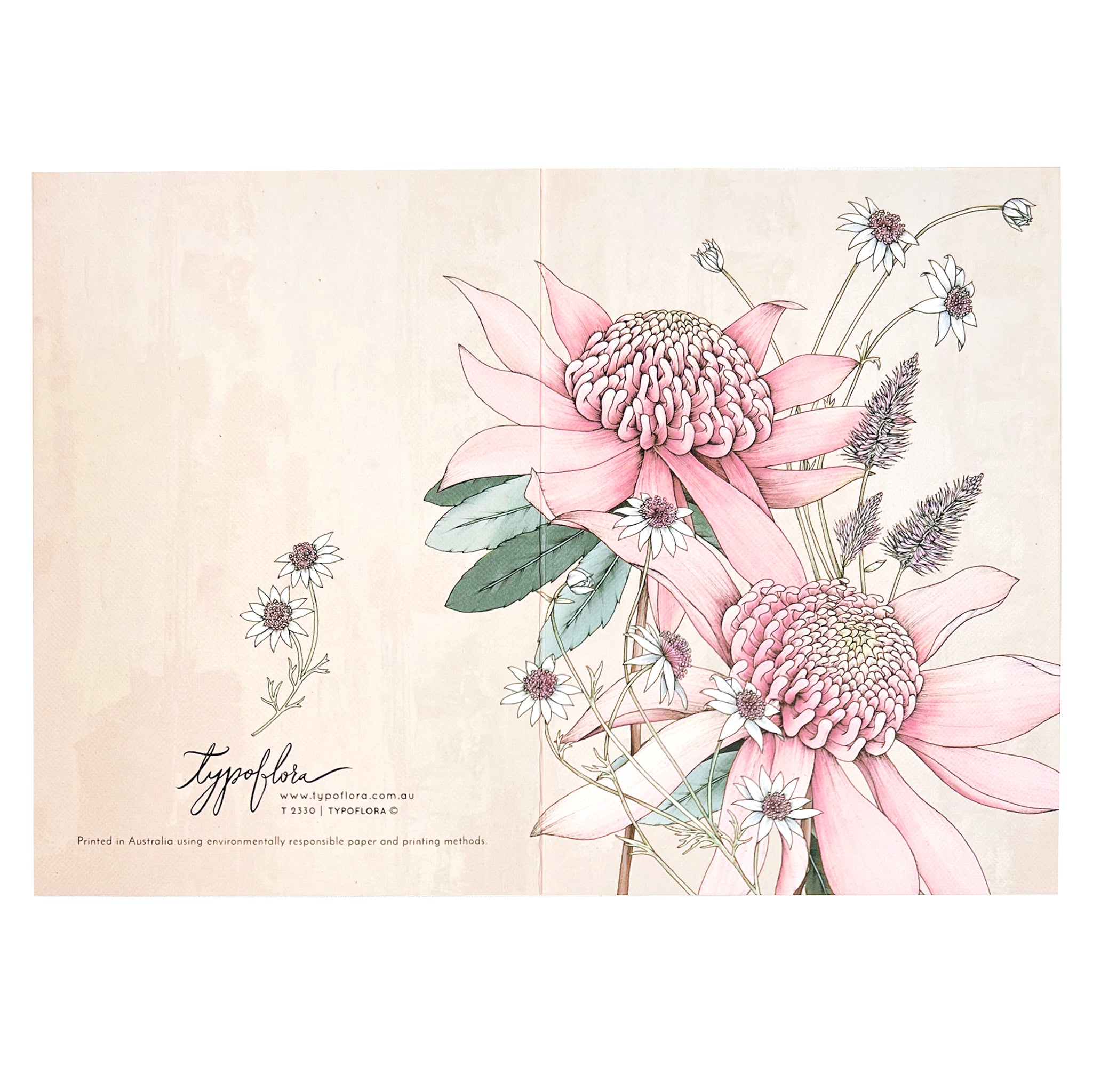 Australian pink waratah on a note card by Typoflora.