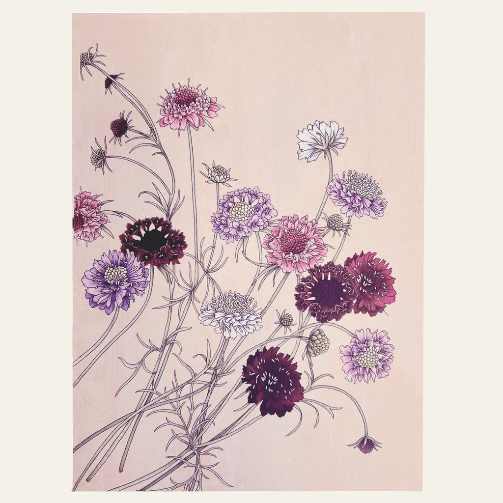 Note card with pincushion flowers by Typoflora.