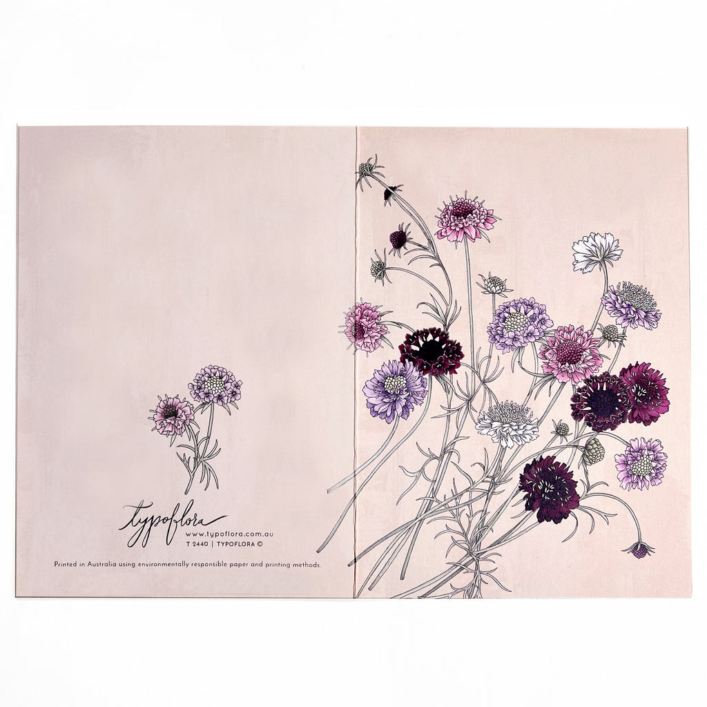 Note card with pincushion flowers by Typoflora.