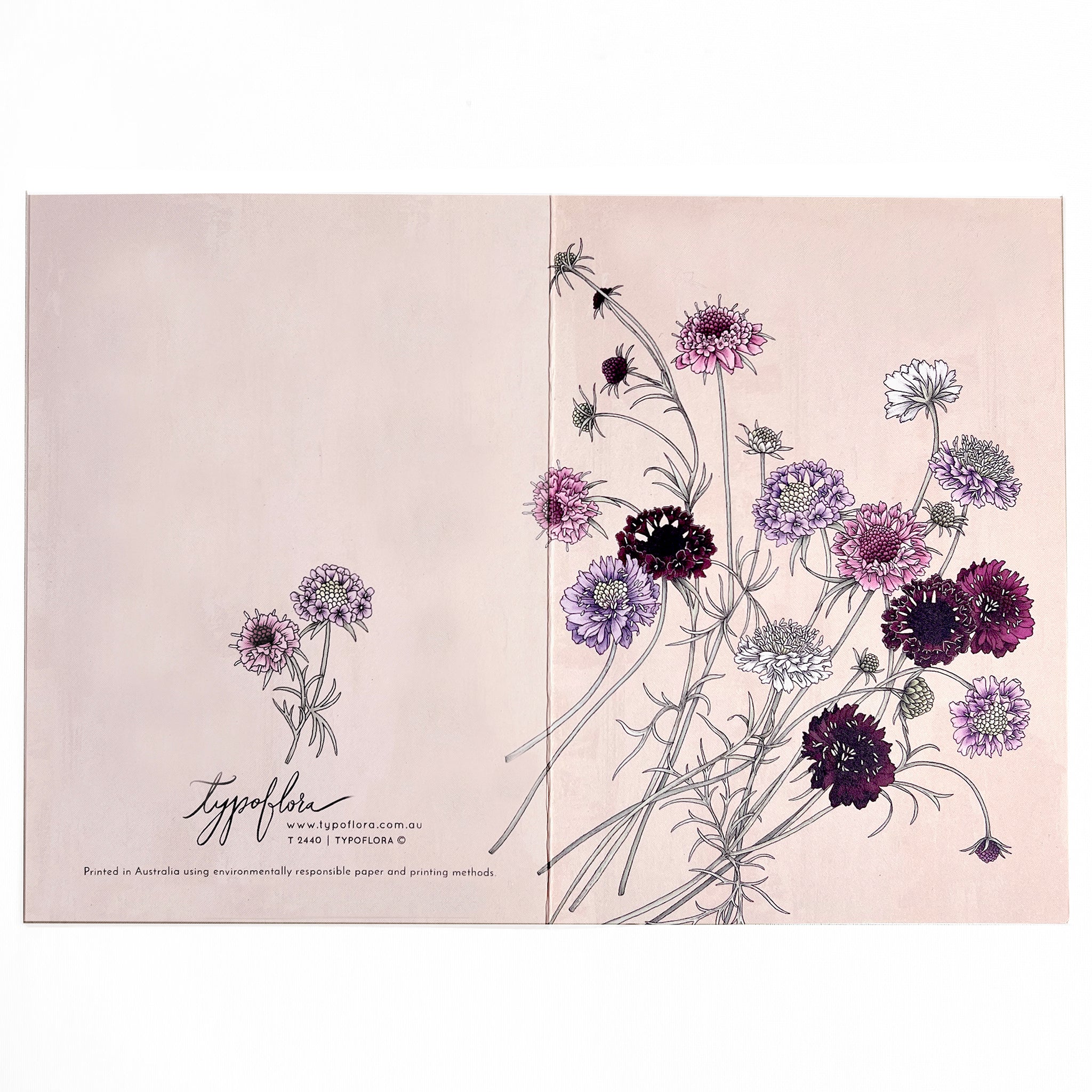 Note card with pincushion flowers by Typoflora.