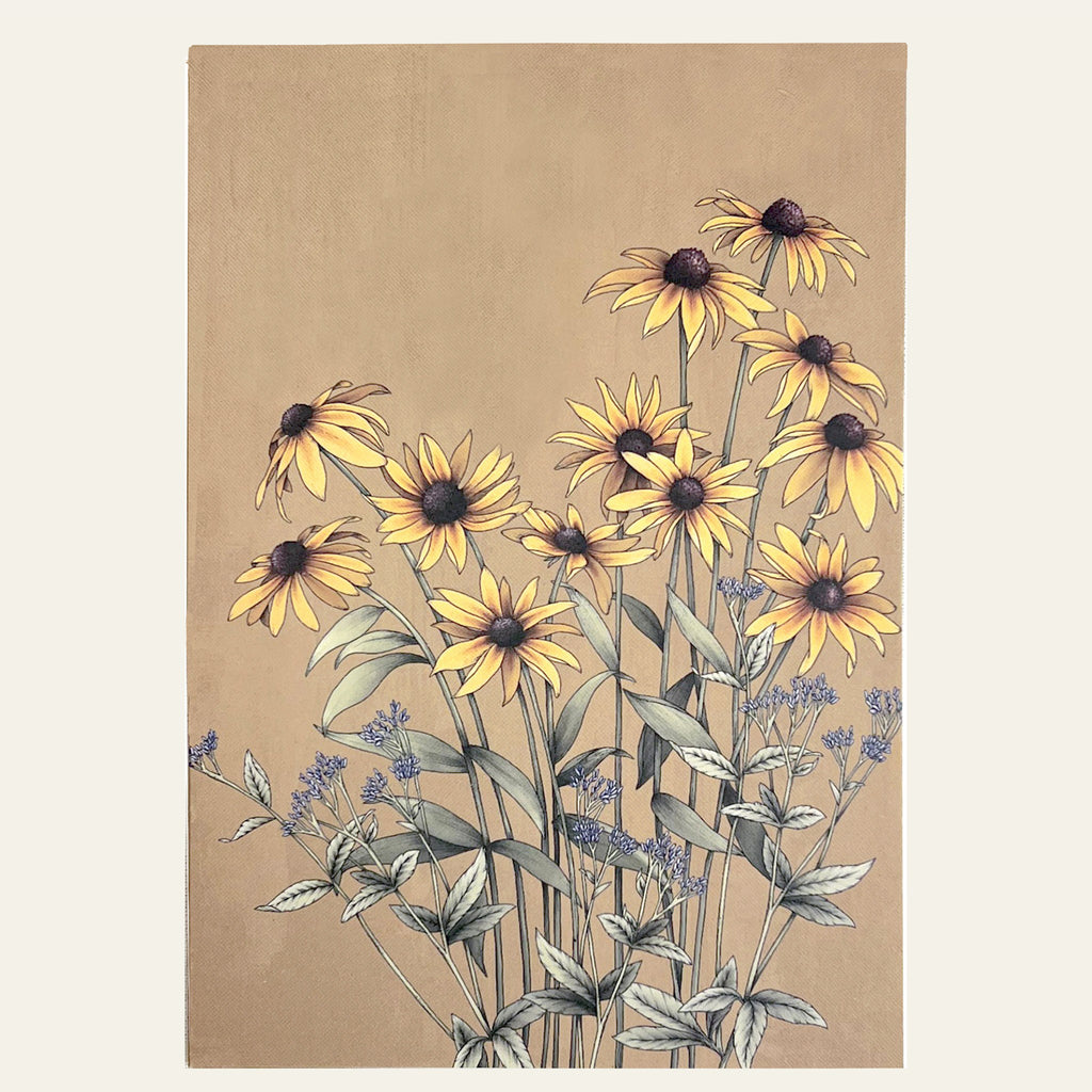 Hand-drawn black-eyed Susan on a note card by Typoflora.
