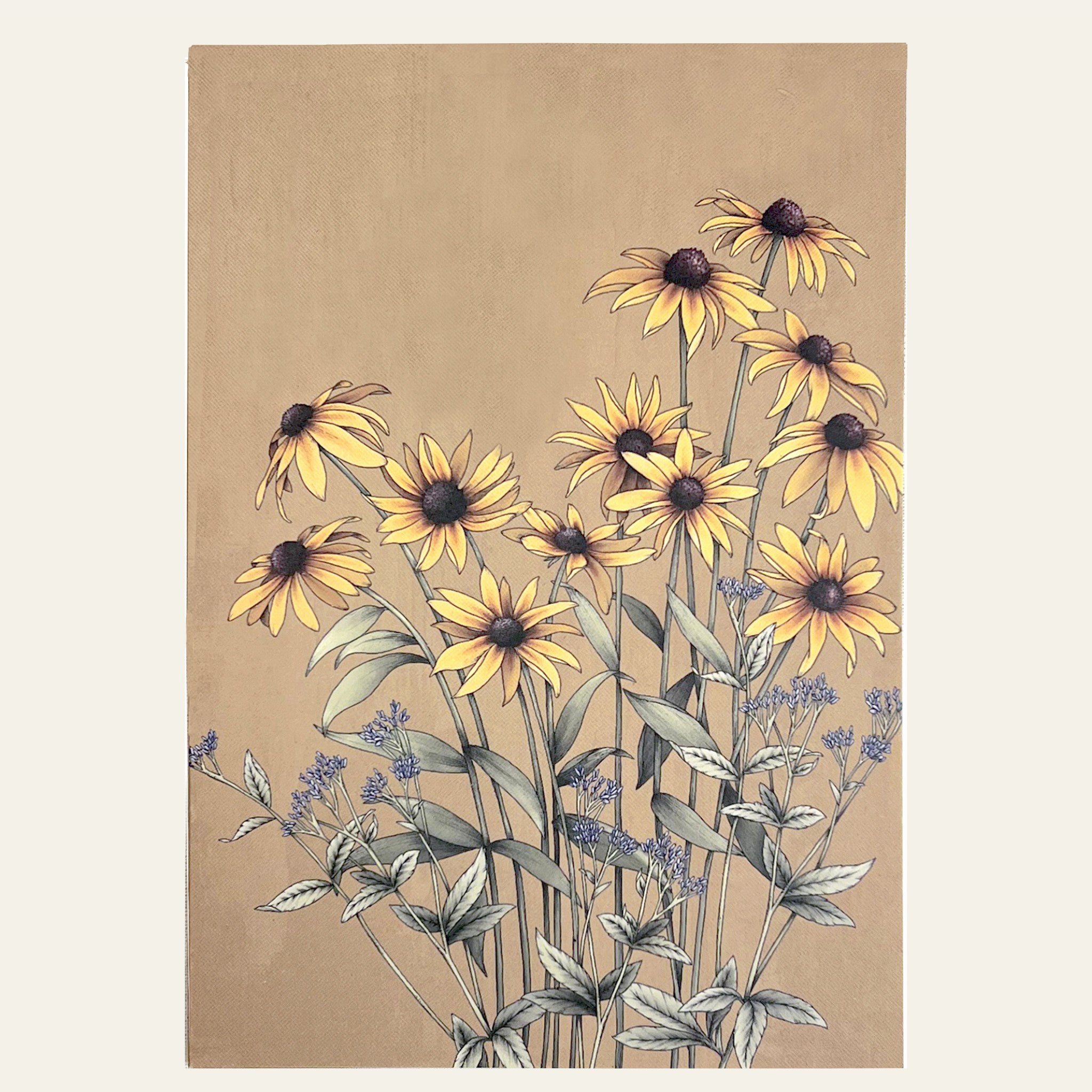 Hand-drawn black-eyed Susan on a note card by Typoflora.